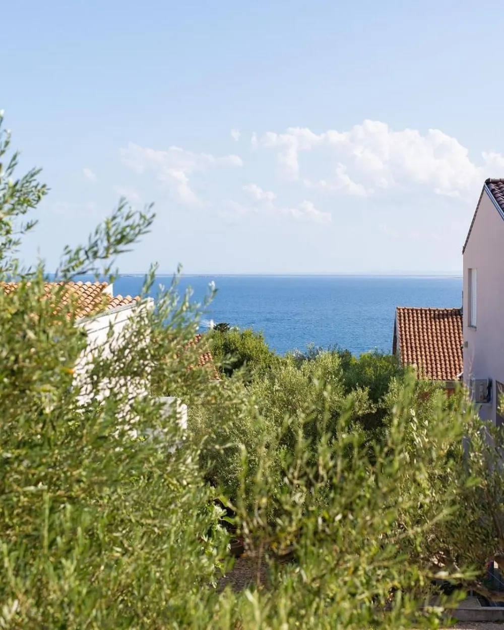 Pogled na more kroz masline s Apartmana Iris na Krku